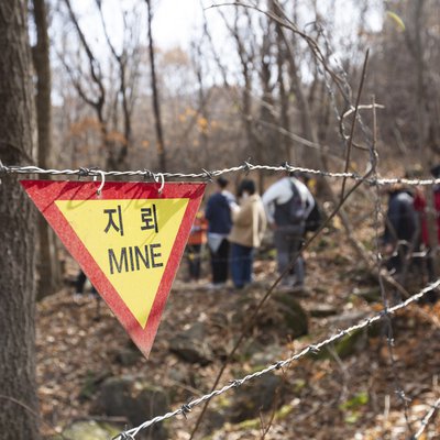 양구 DMZ펀치볼둘레길